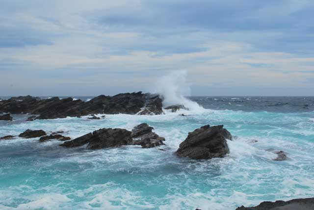 梅雨メジナシーズンイン 三浦半島の城ヶ島で 海苔餌でのメジナ釣り 11年5月11日 食いたい魚は己で釣れ