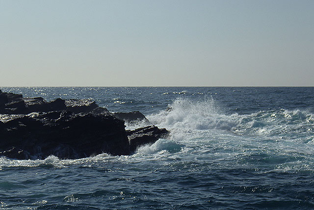 城ヶ島で42cmのメジナ頭に30後半爆釣 14年1月31日 食いたい魚は己で釣れ