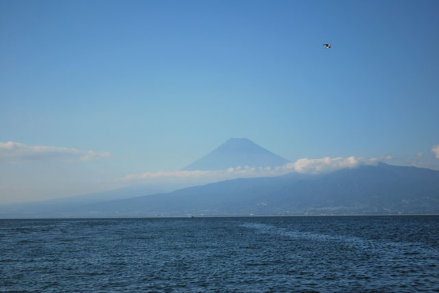 駿河湾の西浦沖から見た富士山