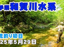岩手渓流釣行2025